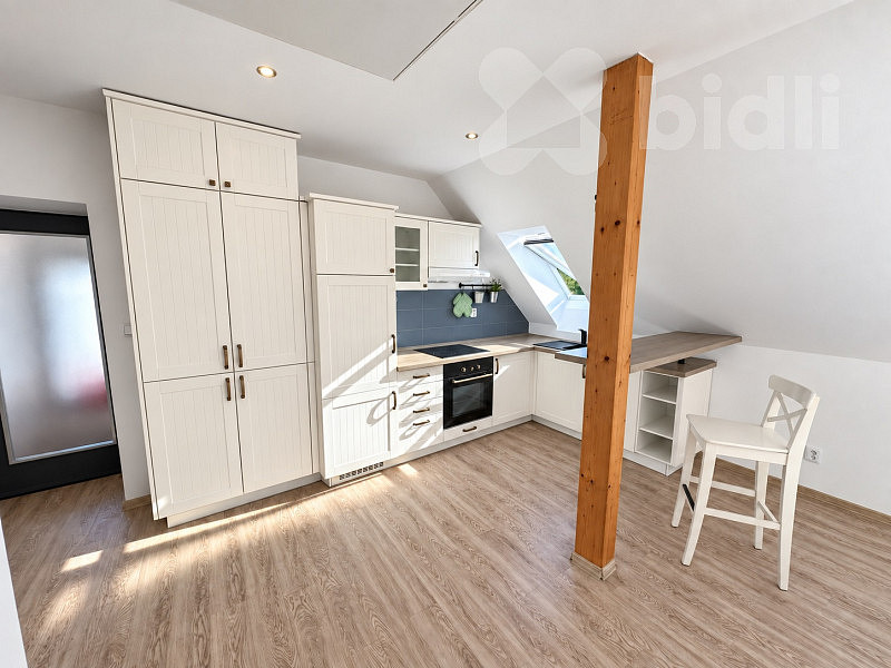 Pronájem bytu 2+kk 58 m² – fotografie 3