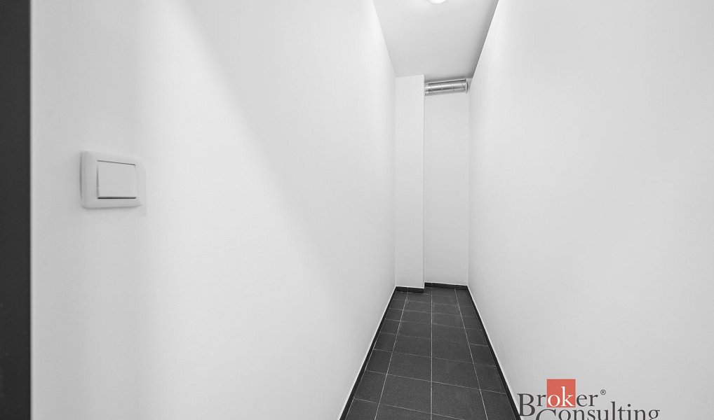 Pronájem bytu 1+kk 27 m², Plzeň – náhled fotky 6