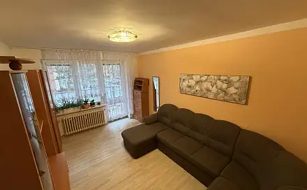 Pronájem bytu 2+1 65 m², Maxima Gorkého, Vyškov - Dědice