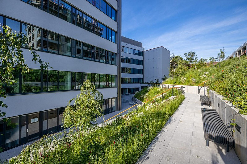 Pronájem kanceláře 60 m² – fotografie 4