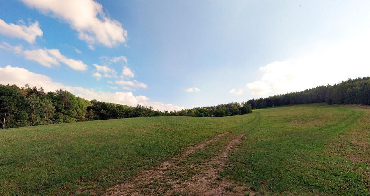 Prodej louky 2 647 m²