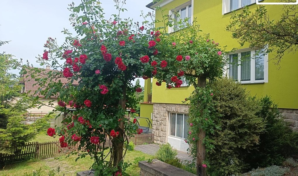 Prodej bytu 5+1 159 m², Cheb – náhled fotky 6