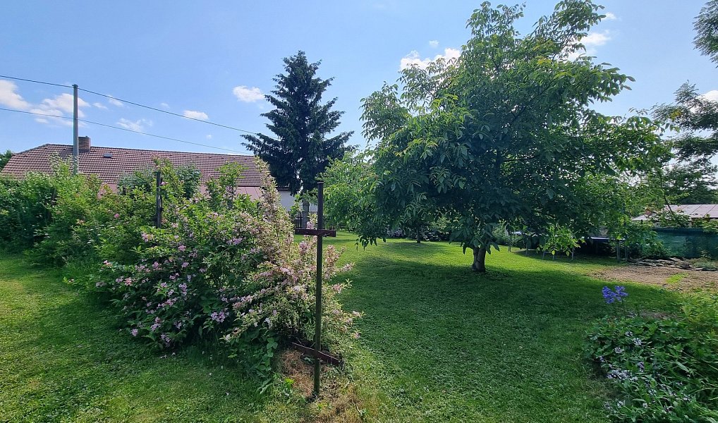 Prodej domu 200 m² s pozemkem 1 325 m², Žďárná – náhled fotky 26