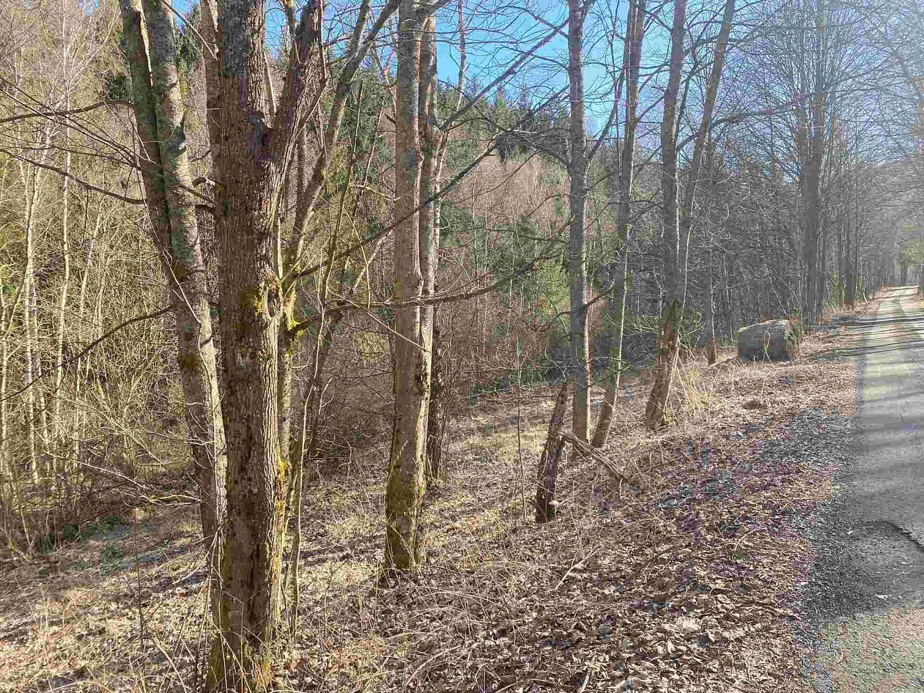Prodej pole 10 377 m²