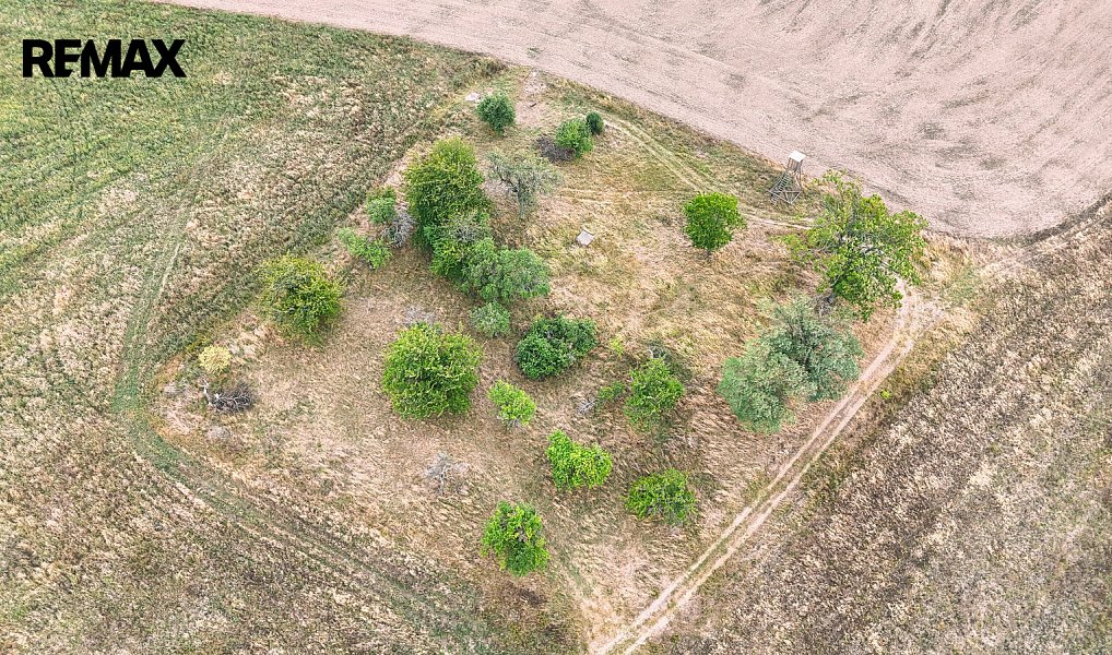 Prodej stavebního pozemku 3 633 m², Ošelín – náhled fotky 8