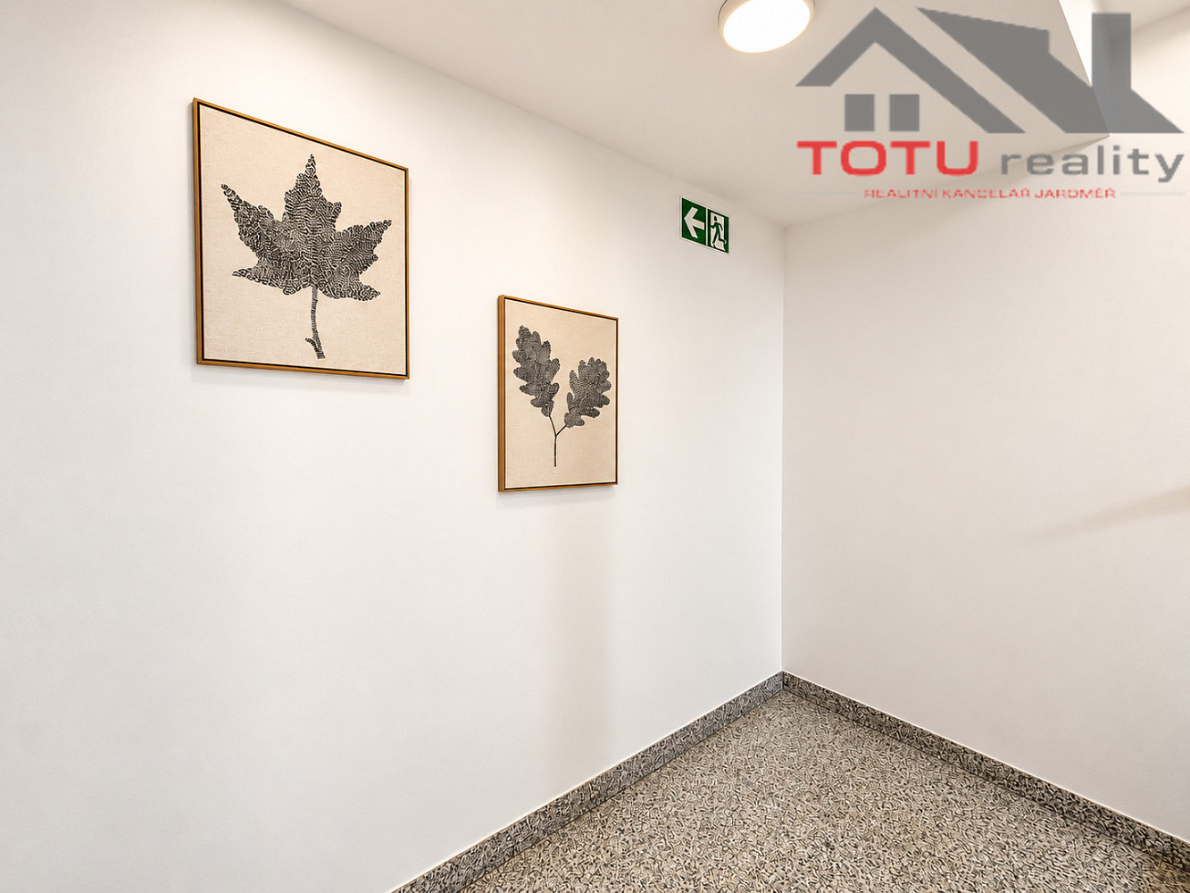 Fotka 13 z 16