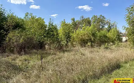 Prodej komerčního pozemku 21 190 m², Znojmo