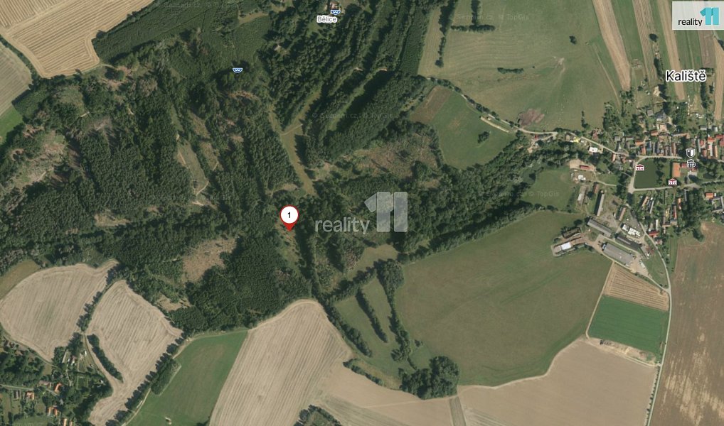 Prodej pole 19 151 m², Koberovice – náhled fotky 5