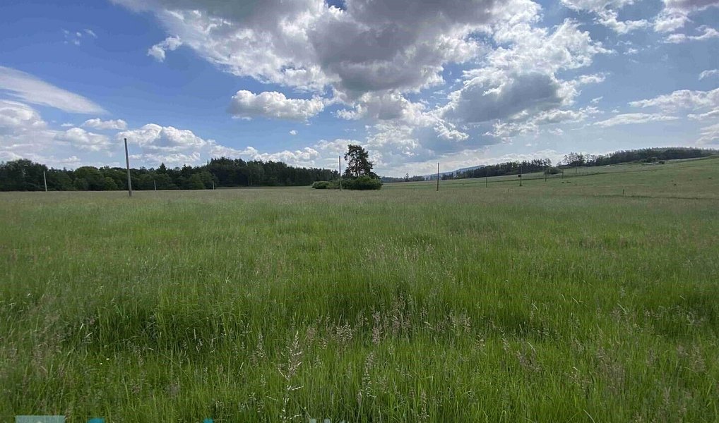 Prodej stavebního pozemku 1 400 m², Planá – náhled fotky 3