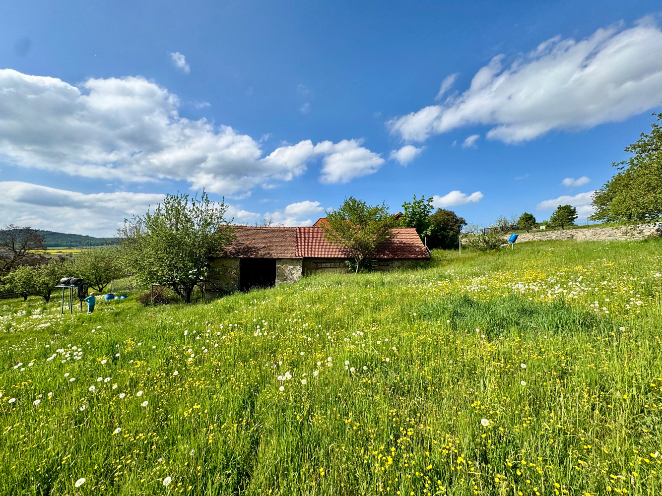 Prodej chaty/chalupy 293 m² s pozemkem 8 775 m² — photo 3