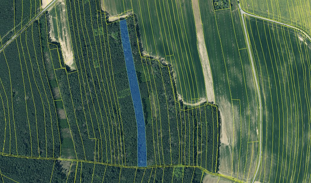 Prodej lesa 20 955 m², Dolany – náhled fotky 2