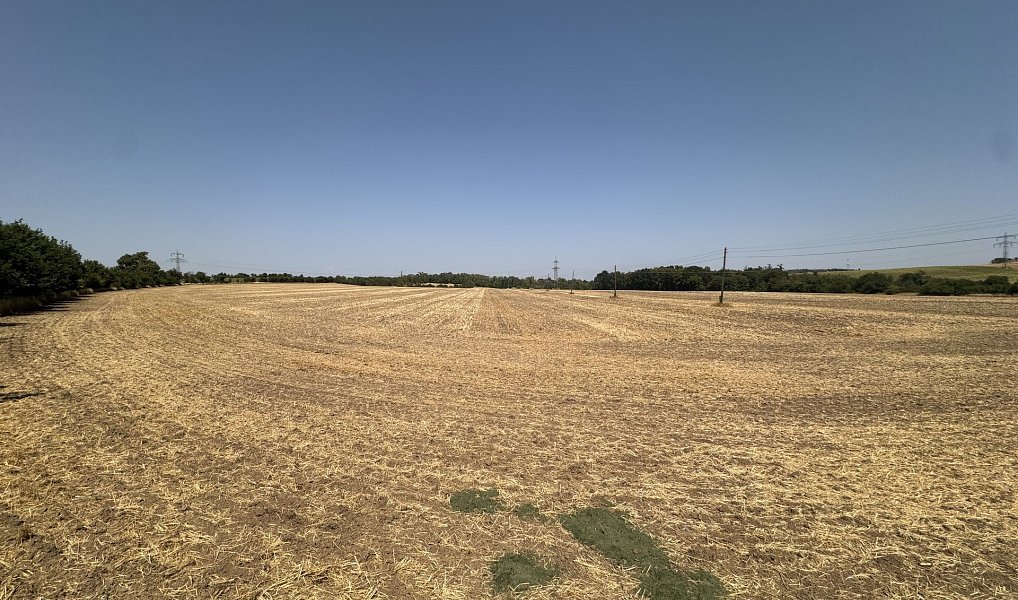 Prodej zahrady 500 m², Ořechov – náhled fotky 4