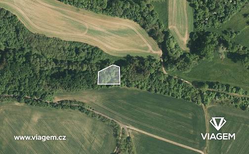 Prodej lesa 1 313 m², Drysice, okres Vyškov