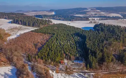 Prodej lesa 50 859 m², Přídolí, okres Český Krumlov