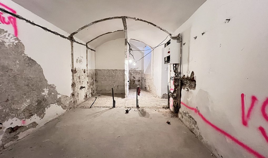 Prodej komerčního objektu (jiného typu) 235 m², Praha – náhled fotky 21