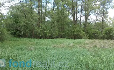Prodej pozemku 1 844 m², Dětmarovice - Koukolná, okres Karviná
