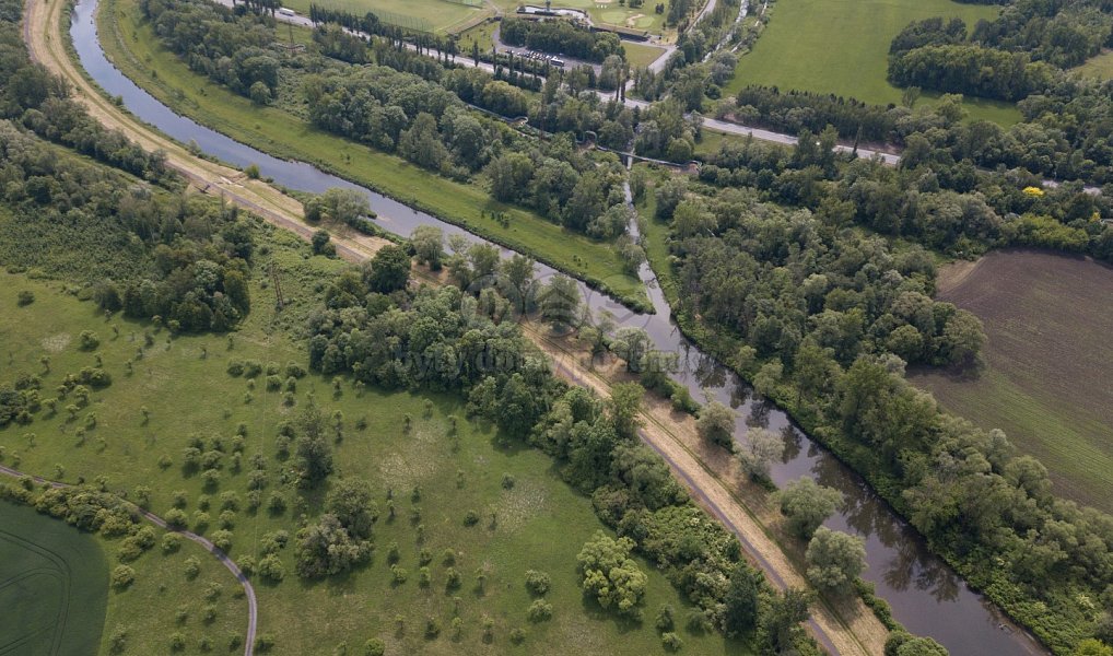 Prodej lesa 3 637 m², Karviná – náhled fotky 4