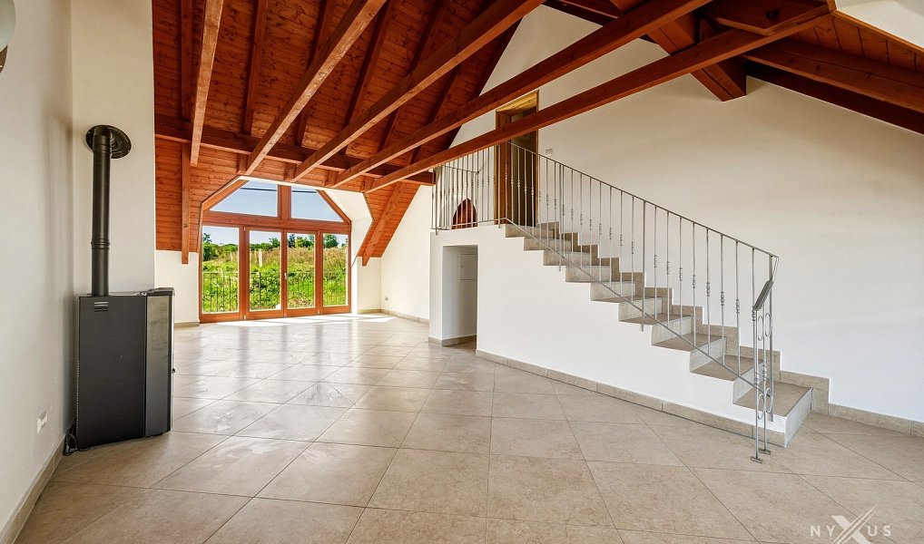Prodej domu 375 m² s pozemkem 317 m², Černolice – náhled fotky 4
