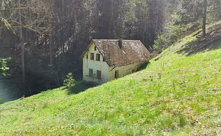 Prodej domu 110 m² s pozemkem 3 282 m², Koberovy - Chloudov, okres Jablonec nad Nisou