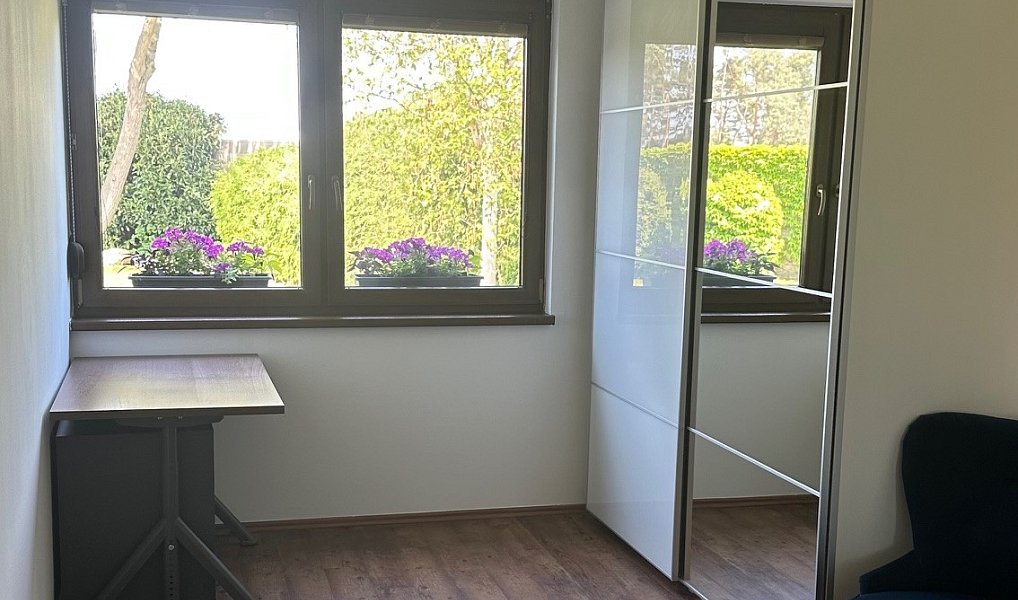 Prodej domu 249 m² s pozemkem 759 m², Borek – náhled fotky 30