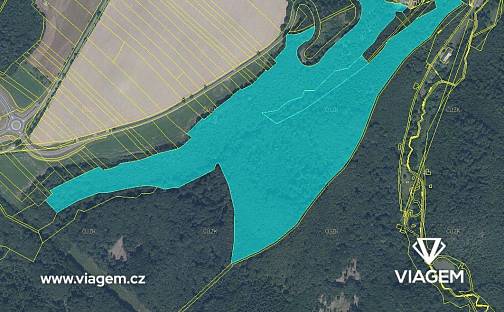 Prodej lesa 20 047 m², Hrabyně, okres Opava