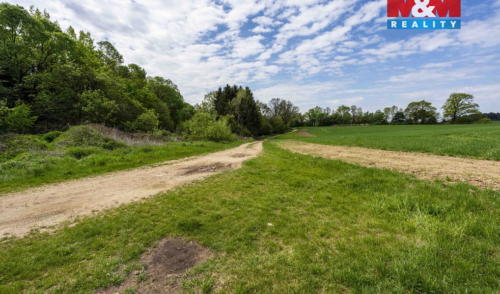 Prodej louky 1 137 m², Vlašim – náhled fotky 7