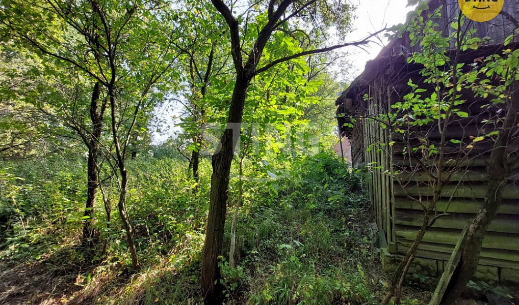 Prodej domu 260 m² s pozemkem 6 448 m², Dolní Těšice – náhled fotky 9