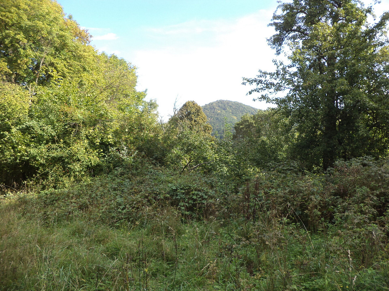 Prodej pole 14 517 m² — photo 3