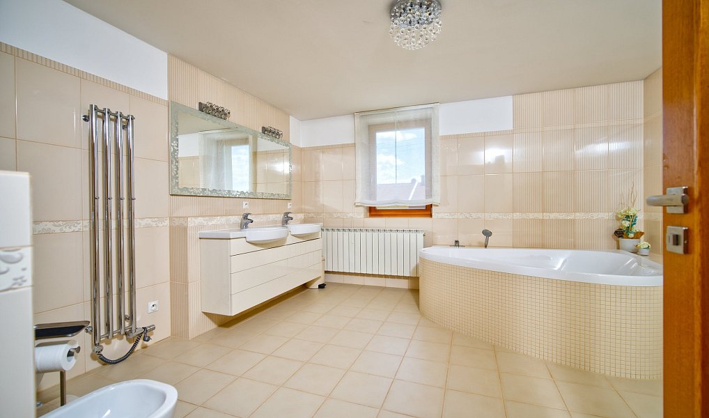 Prodej domu 376 m² s pozemkem 2 273 m², Syrovice – náhled fotky 19