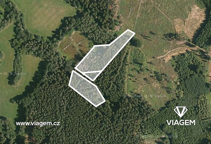 Prodej lesa 1 400 m²