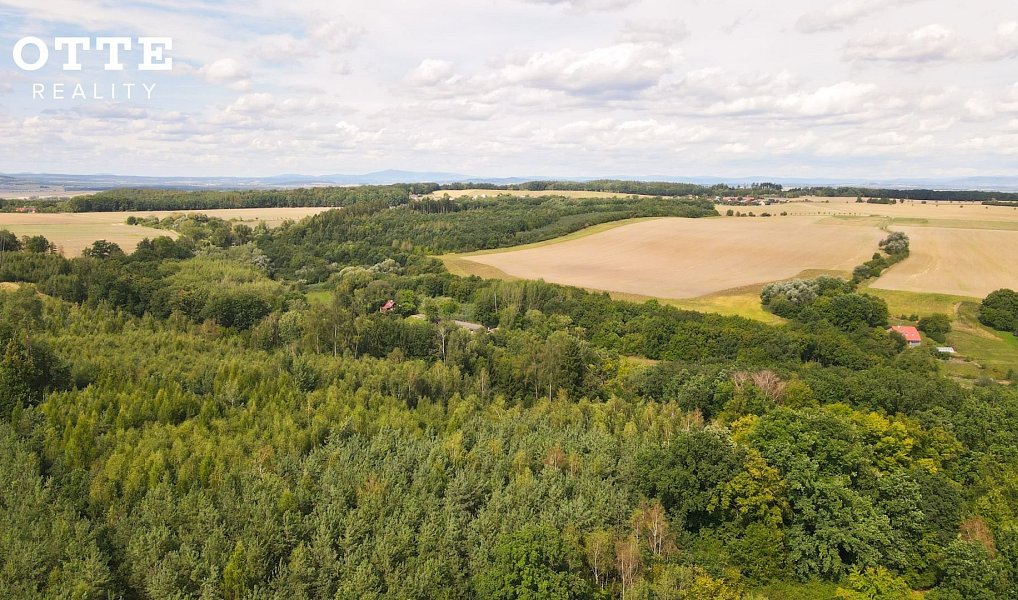 Prodej lesa 985 653 m², Žerčice – náhled fotky 11