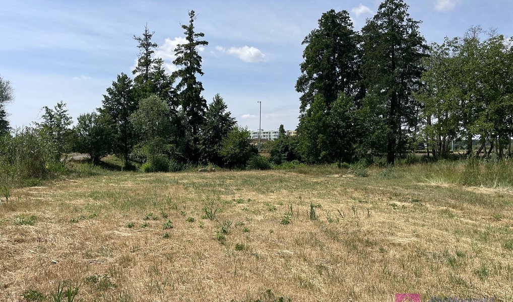 Prodej komerčního pozemku 4 463 m², Břeclav – náhled fotky 7