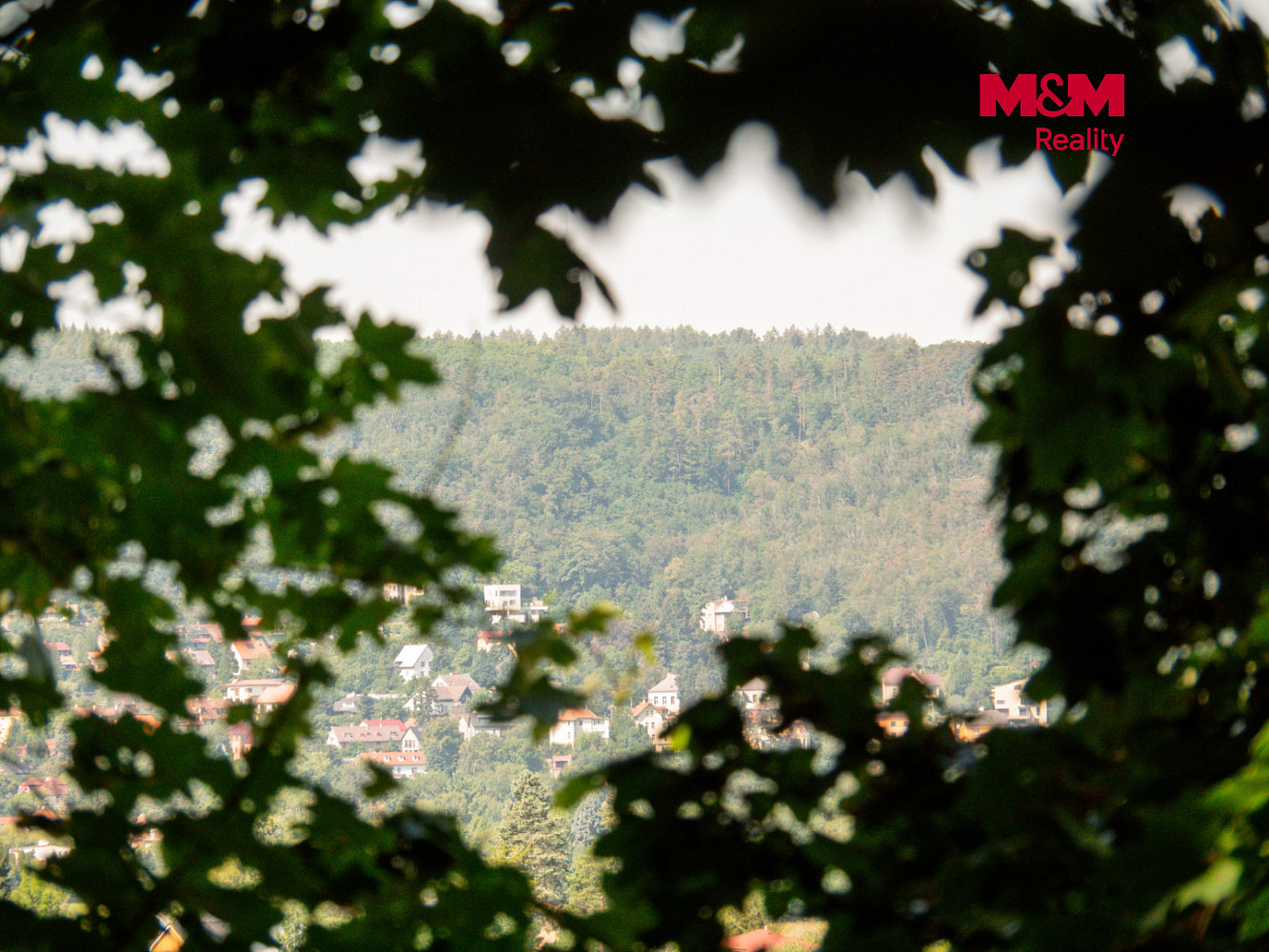 Prodej lesa 5 606 m² – fotografie 5