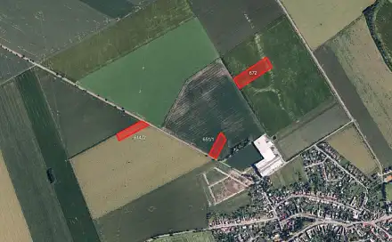 Prodej pole 9 890 m², Olšany u Prostějova, okres Prostějov