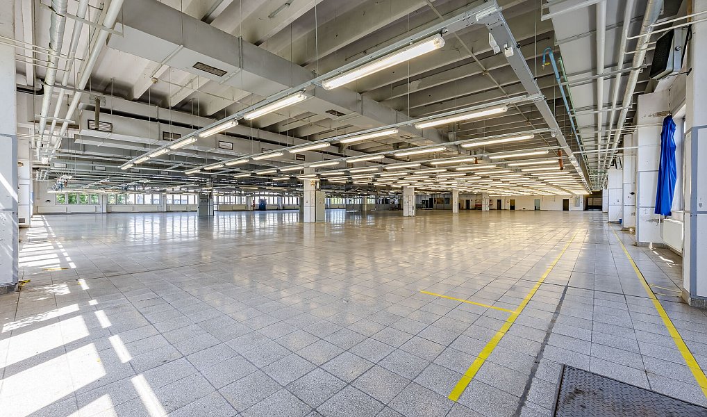 Pronájem skladovacích prostor 900 m², Veselí nad Moravou – náhled fotky 3