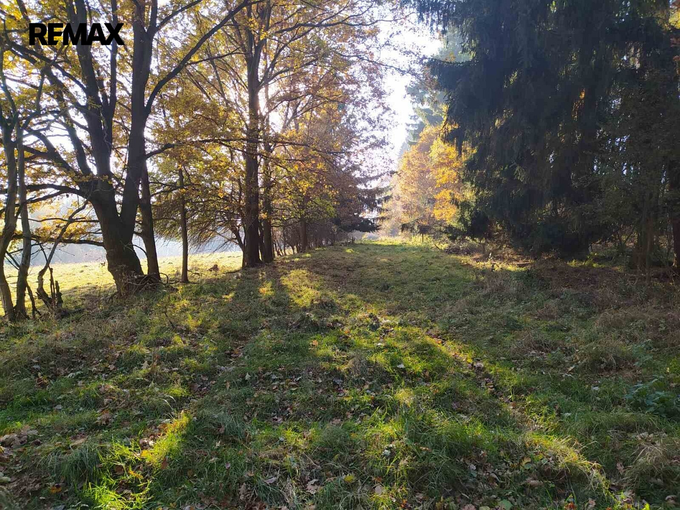 Prodej louky 20 332 m² – fotografie 2