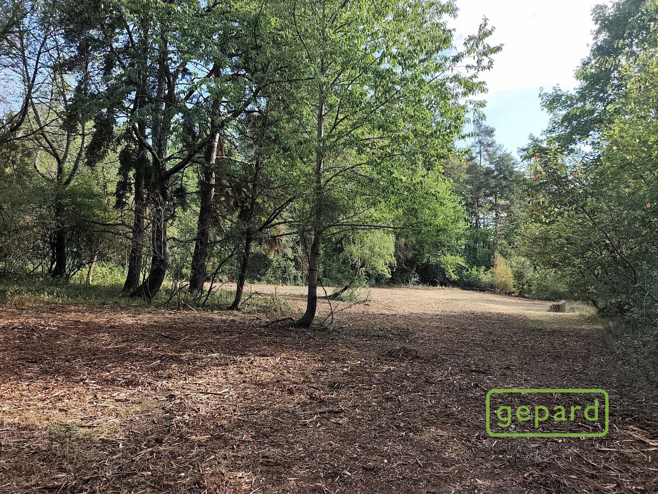 Prodej stavebního pozemku 14 307 m² – fotografie 3
