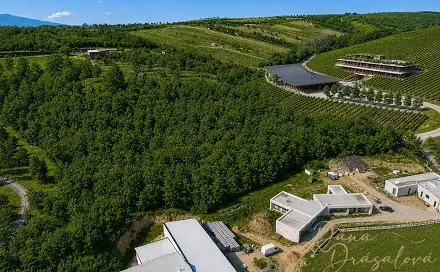 Prodej komerčního pozemku 7 238 m², Velké Pavlovice, okres Břeclav