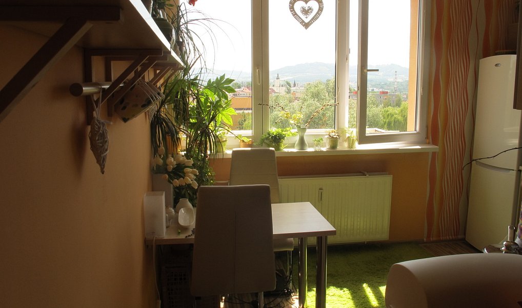 Prodej bytu 1+1 37 m², Frýdek-Místek – náhled fotky 2