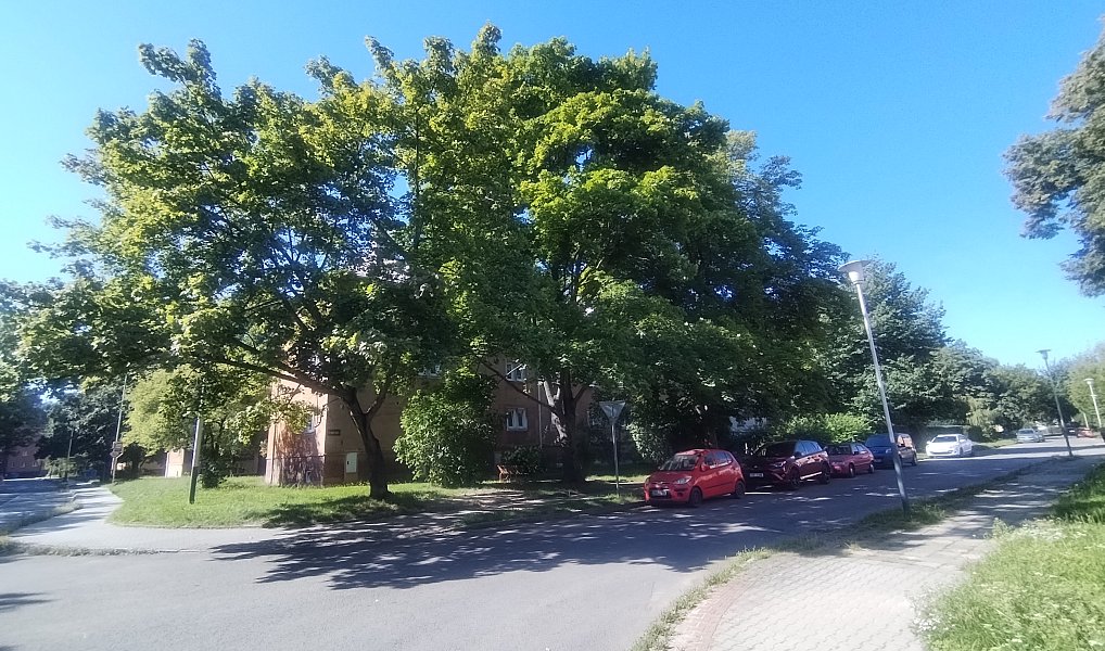Pronájem bytu 2+1 40 m², Ostrava – náhled fotky 12