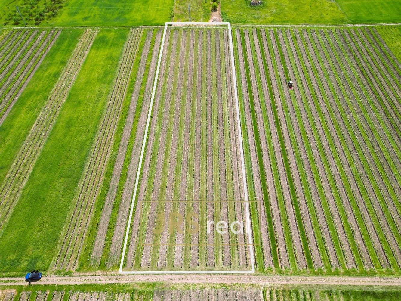 Prodej pole 4 926 m²