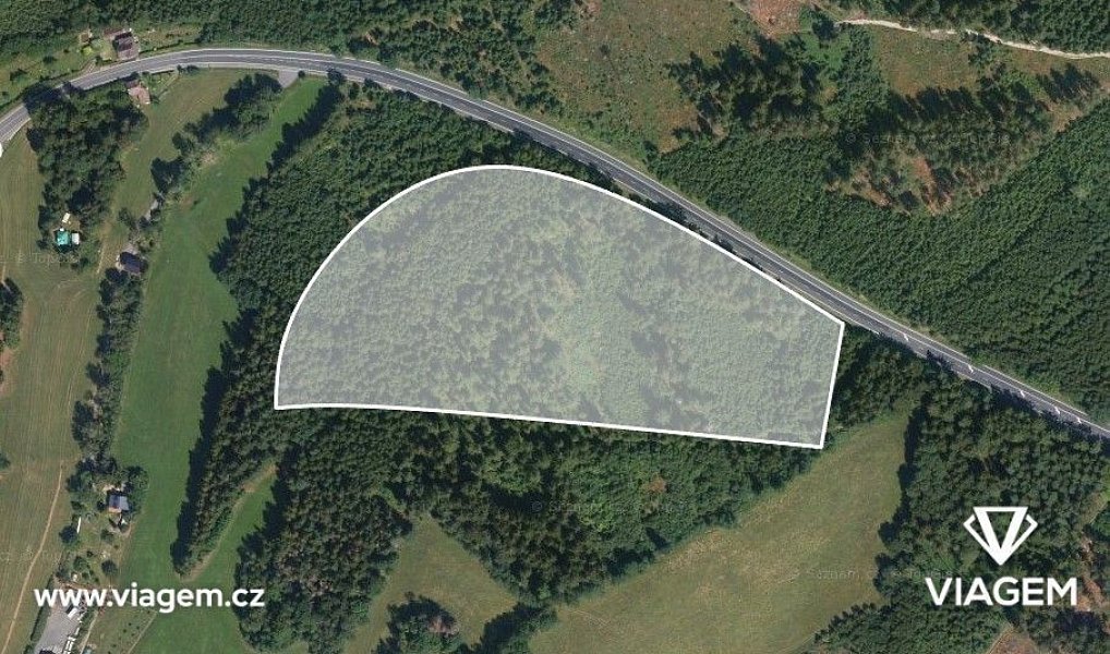 Prodej lesa 41 323 m², Loužnice – náhled fotky 2