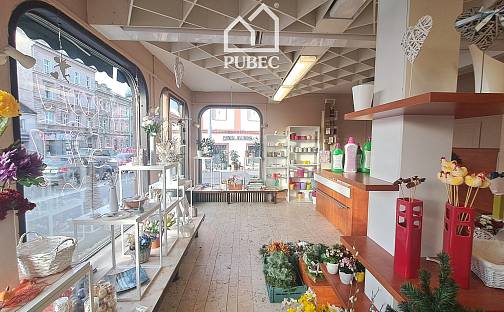 Pronájem obchodních prostor 52 m², Klatovská třída, Plzeň - Jižní Předměstí