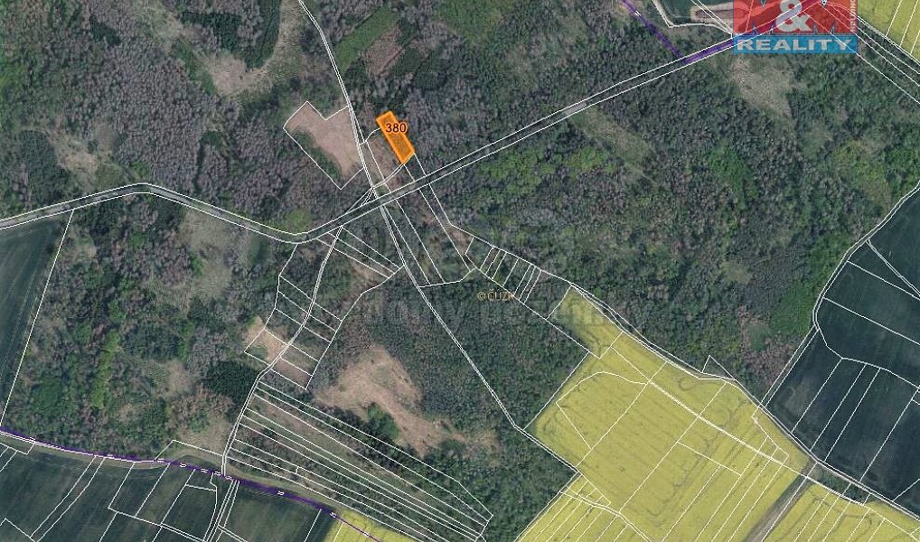 Prodej lesa 1 396 m², Račice – náhled fotky 3