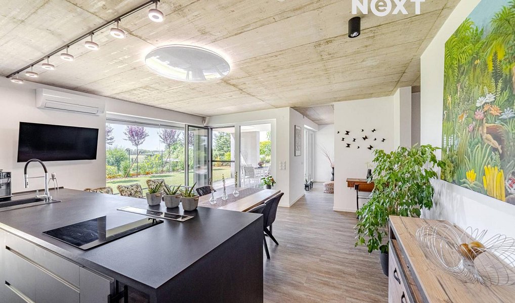 Prodej domu 258 m² s pozemkem 2 038 m², Černá u Bohdanče – náhled fotky 5
