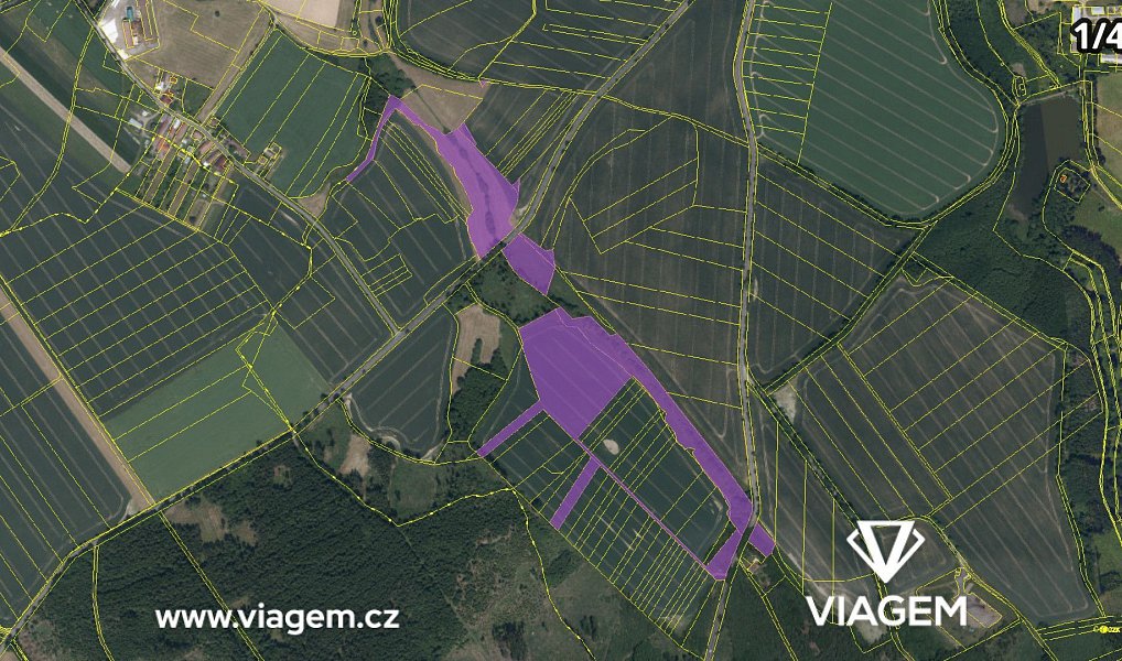 Prodej pole 2 951 m², Golčův Jeníkov – náhled fotky 4