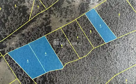 Prodej lesa 11 340 m², Nebahovy - Jelemek, okres Prachatice