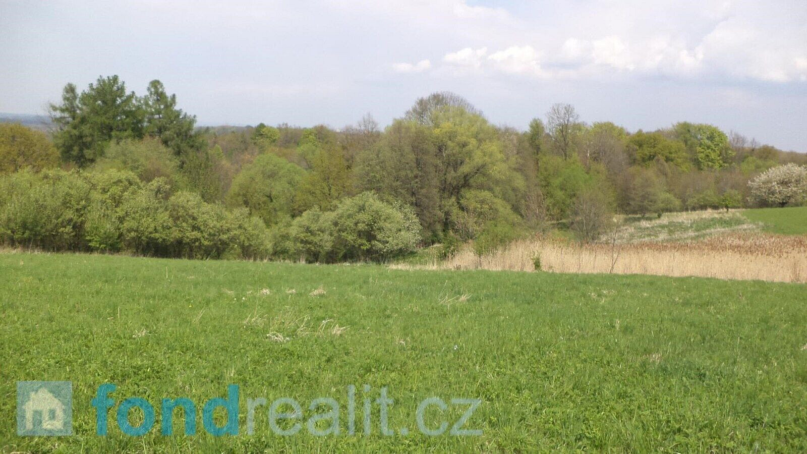 Prodej pole 8 787 m² – fotografie 5
