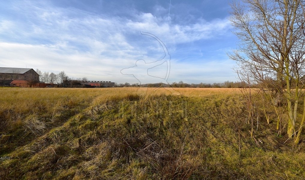 Prodej komerčního pozemku 80 085 m², Kostelec nad Labem – náhled fotky 6