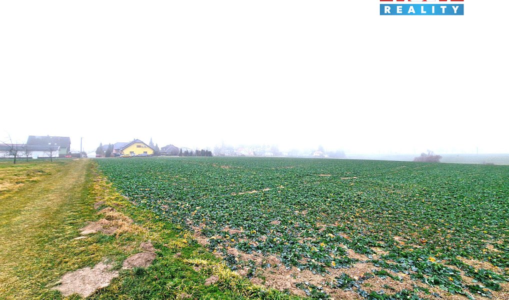 Prodej stavebního pozemku 5 343 m², Štěpánkovice – náhled fotky 2